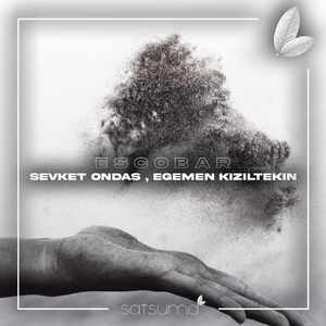 美女的翘臀被踩爆
