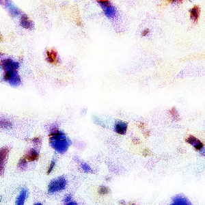 美女的翘臀被踩爆
